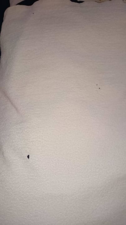 Handtücher mit Löchern Effect Grand Victoria Hotel