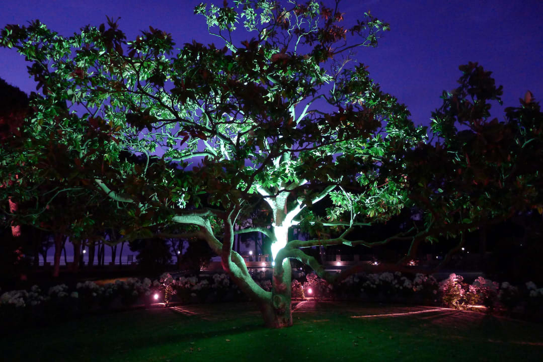 Effektvolle Gartenbeleuchtung Falkensteiner Hotel Adriana