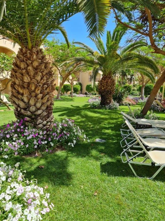 Gartenanlage JAZ Aquamarine Resort