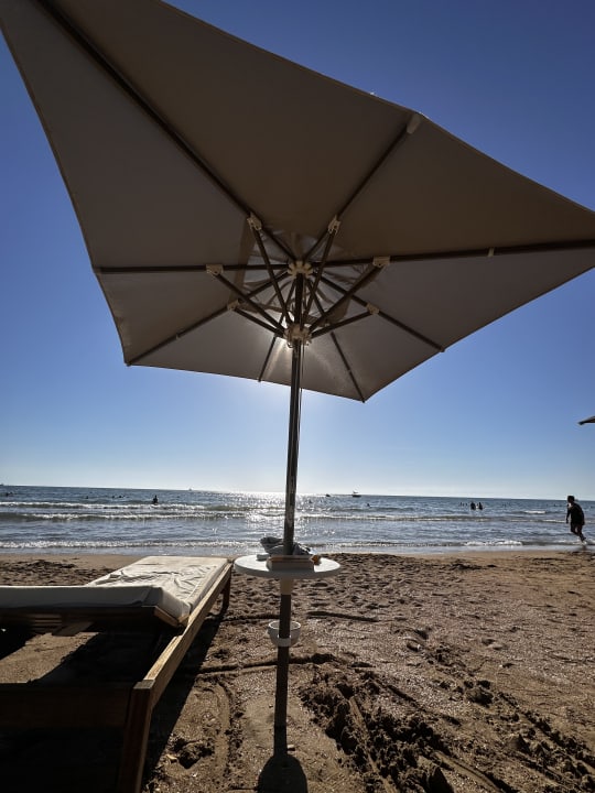 Strand Acanthus Cennet Barut Collection