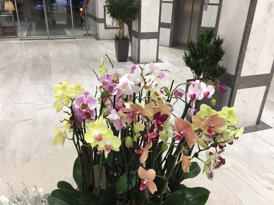 Lobby Rhodos Horizon Resort