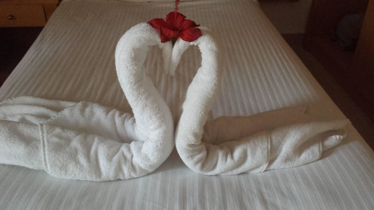 Danke! Pickalbatros Aqua Park Resort - Hurghada
