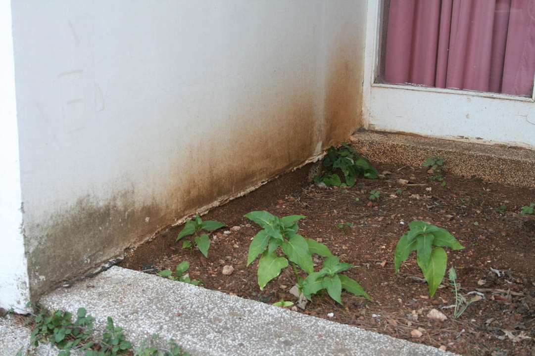 Eingangsbereich von außen Rivijera Villen & Dependance Flora & Madera