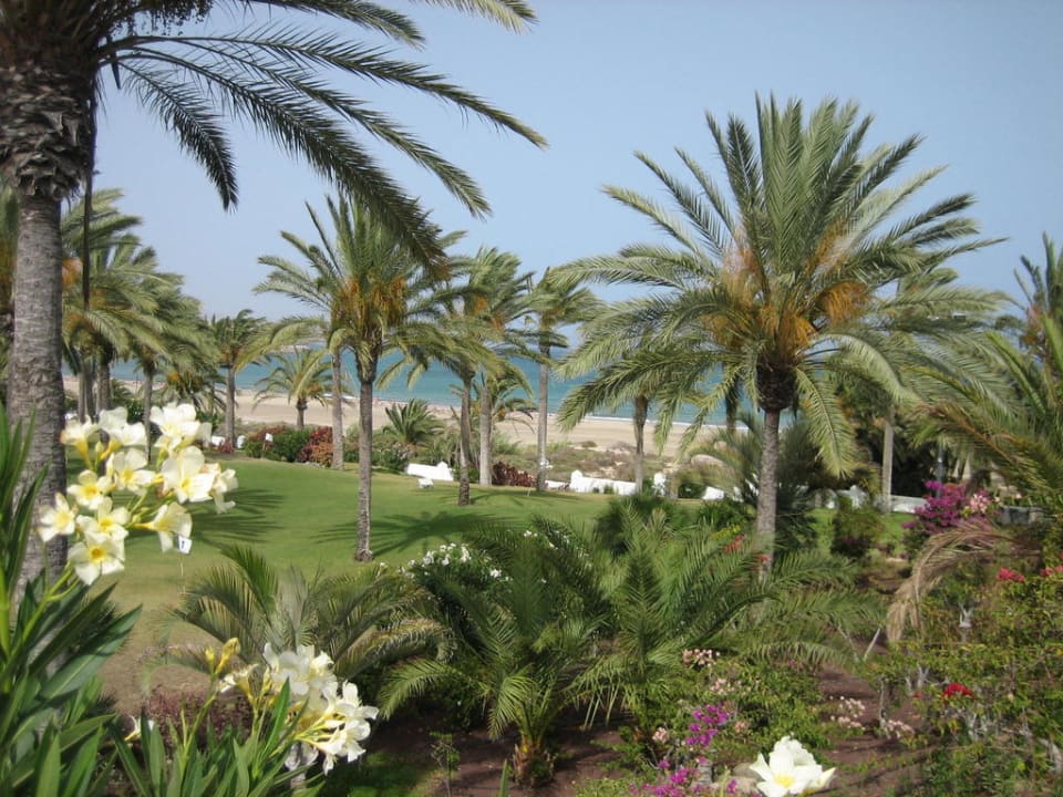 Gartenanlage SBH Hotel Costa Calma Palace