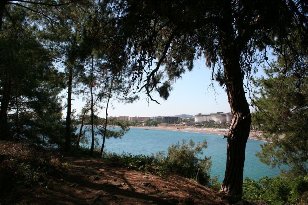Außenaufnahme Hotel Gardenia Beach