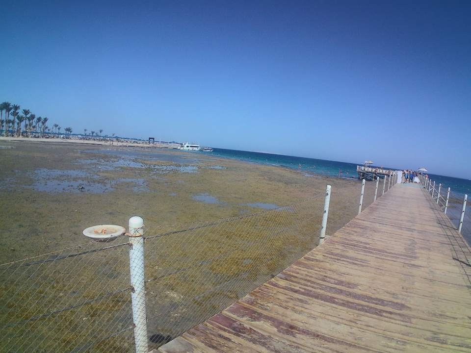 Strand Pickalbatros Palace Resort