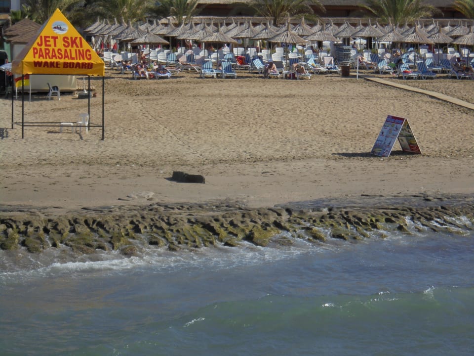 Nicht schön Dizalya Palm Garden