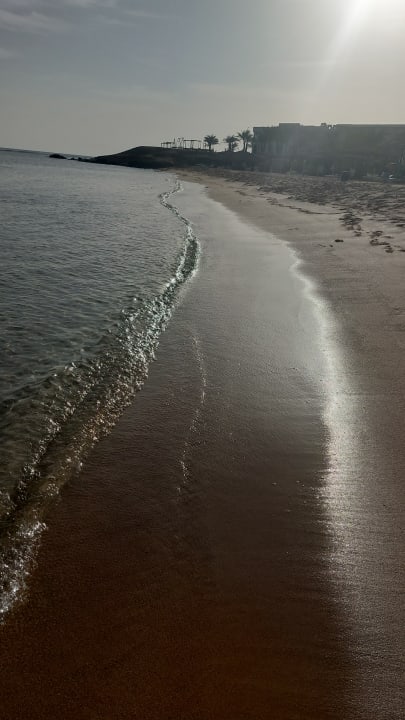 Zimmer Coral Sun Beach