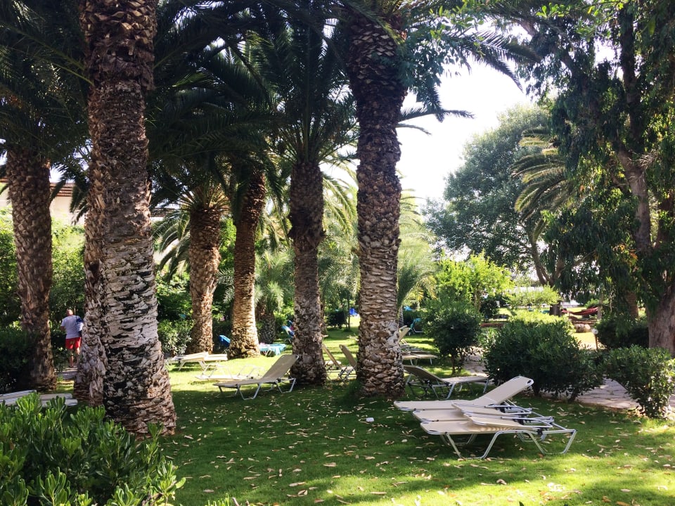 Gartenanlage Apollonia Beach Resort & Spa