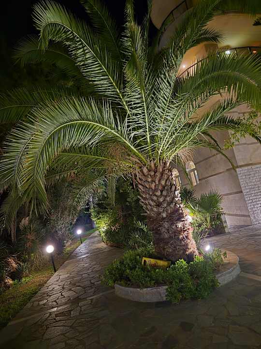 Gartenanlage Hotel Kalithea Horizon Royal