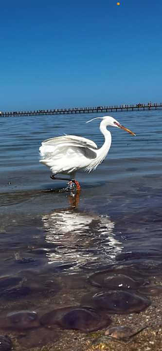 Strand Stella Beach Resort & Spa Makadi Bay