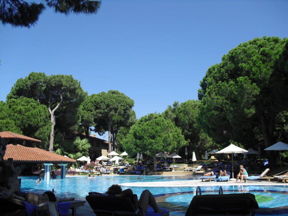Relaxpool Asteria Family Belek