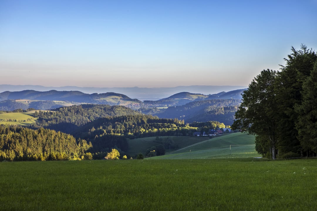 Ausblick Gasthaus zum Kreuz