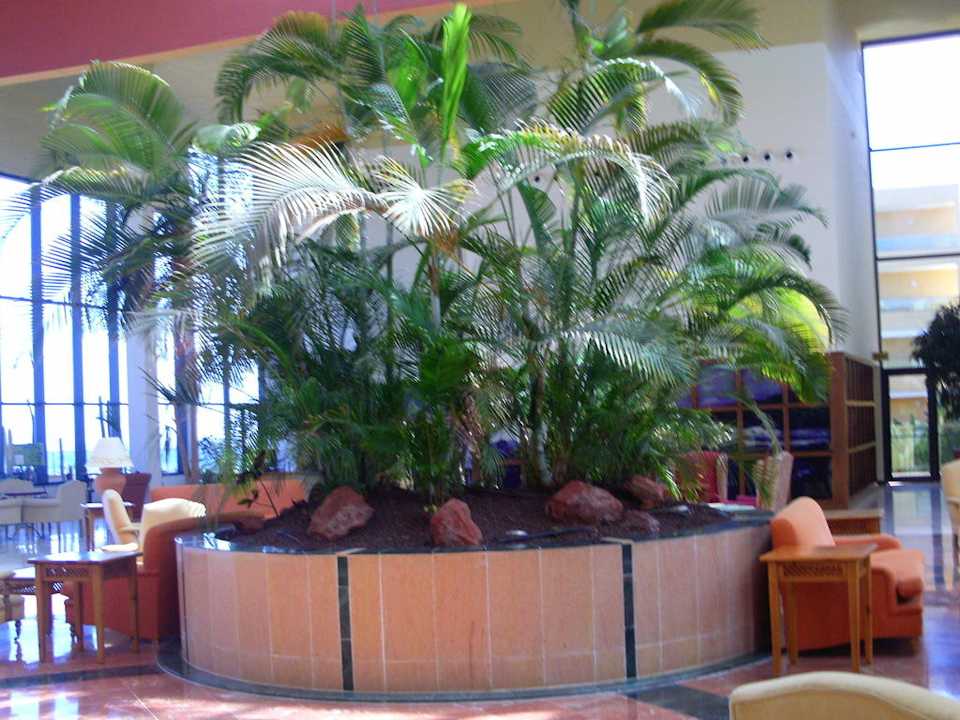 Empfangshalle SBH Club Paraiso Playa