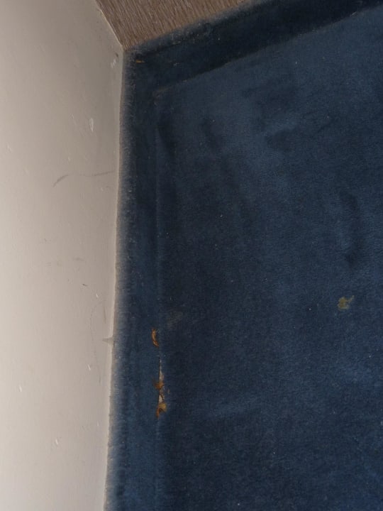 Der Teppichboden Hotel Dion Palace Resort and Spa