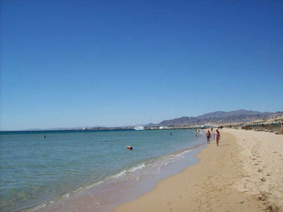 Strand Shams Prestige Abu Soma-Adults Only