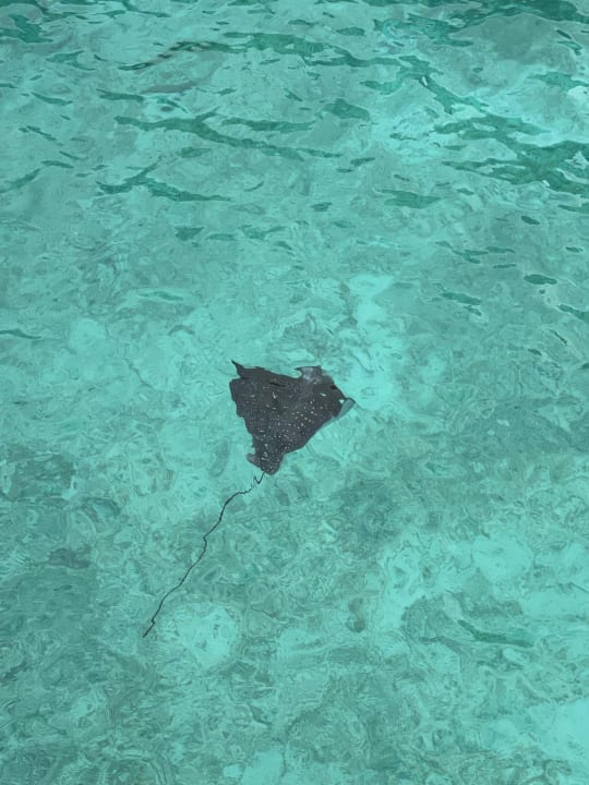 Strand Kudafushi Resort & Spa