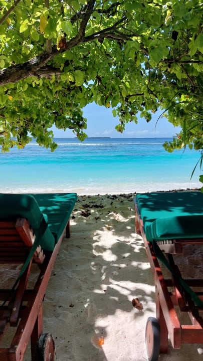 Zimmer Coco Palm Dhuni Kolhu