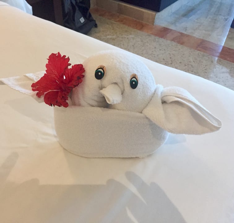 Handtuch Tier Akumal Bay Beach & Wellness Resort