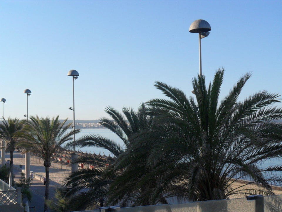 Ausblick aus Zimmer 207 Hotel Edén Palma Playa - Adults Only