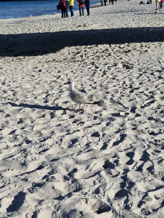 Sonstiges Arkona Strandresidenzen by Private Palace Hotels & Resorts