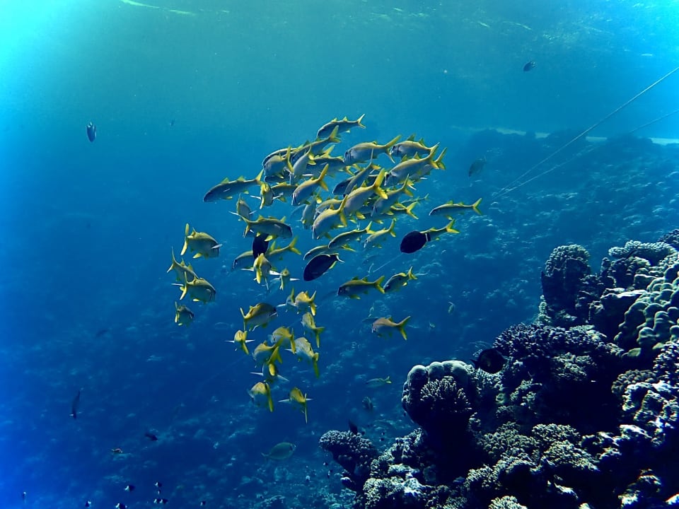 Sport & Freizeit Three Corners Happy Life Beach Resort