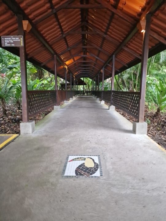 Gartenanlage Hotel Pachira Lodge