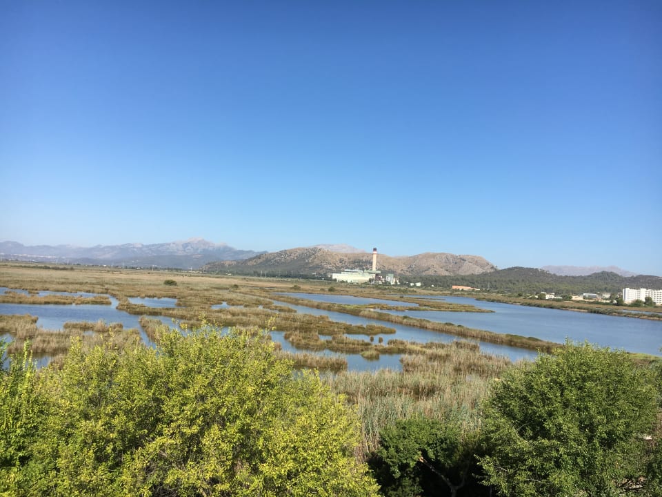 Ausblick Prinsotel La Dorada