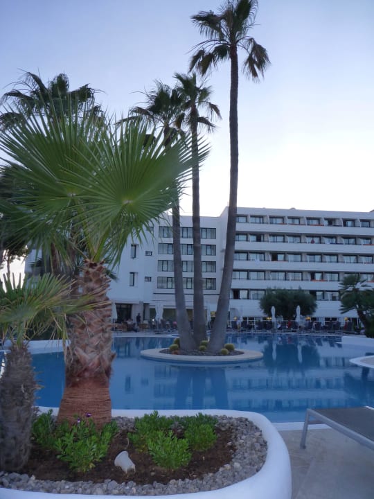 Von der Liegewiese aus allsun Hotel Eden Alcudia