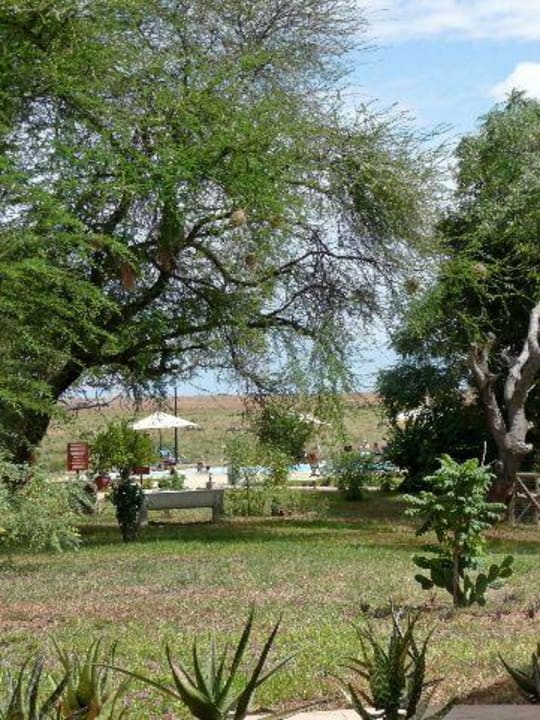 Neu angelegte, aber schon schöne Gartenanlage Ashnil Aruba Lodge