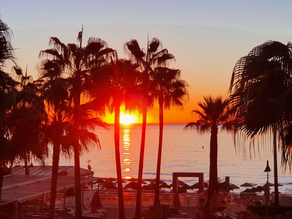 Ausblick Hotel Riu Nautilus - Adults only