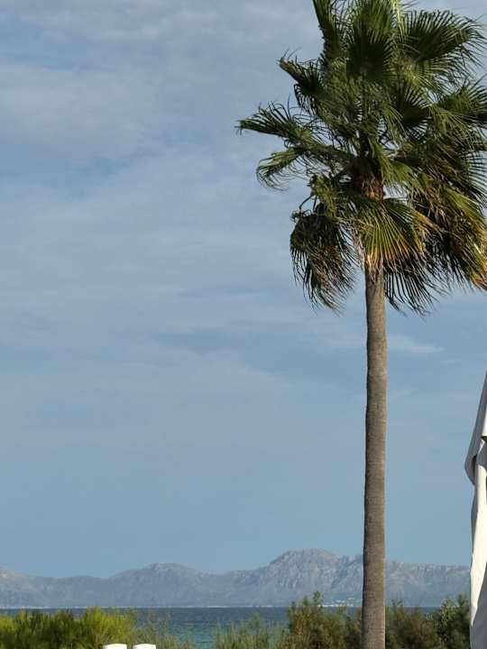 Ausblick Playa Garden Selection Hotel & Spa