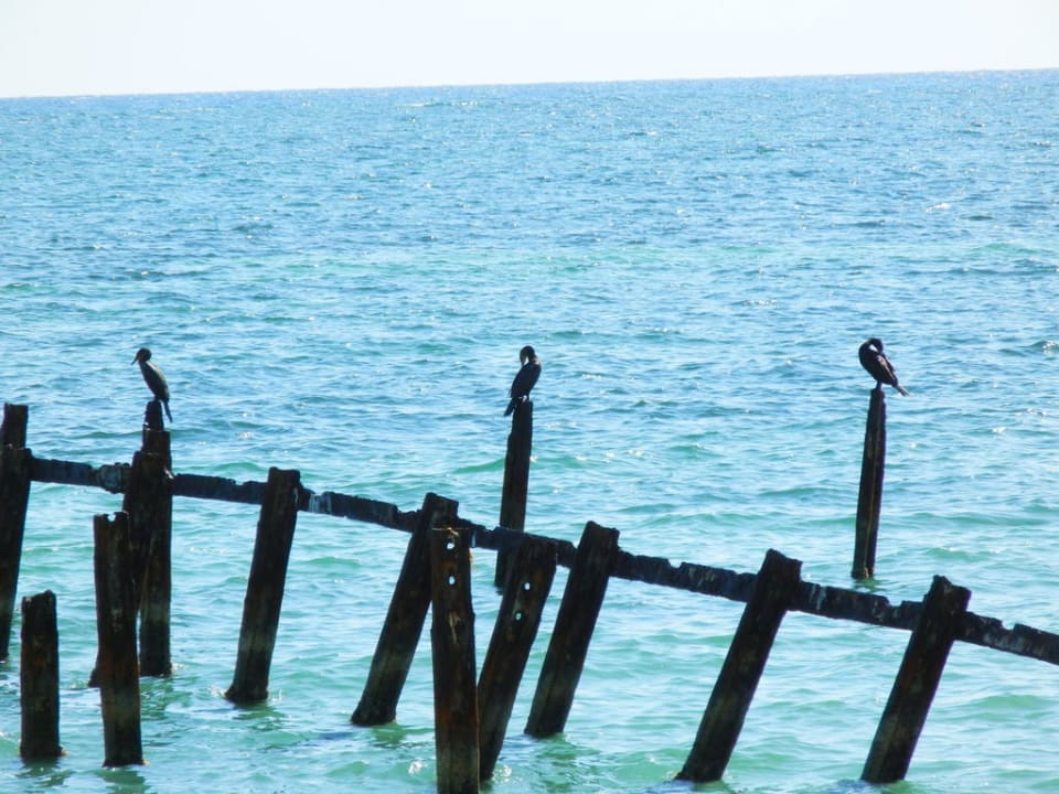 Gerüst Club Amigo Hotel Ancon