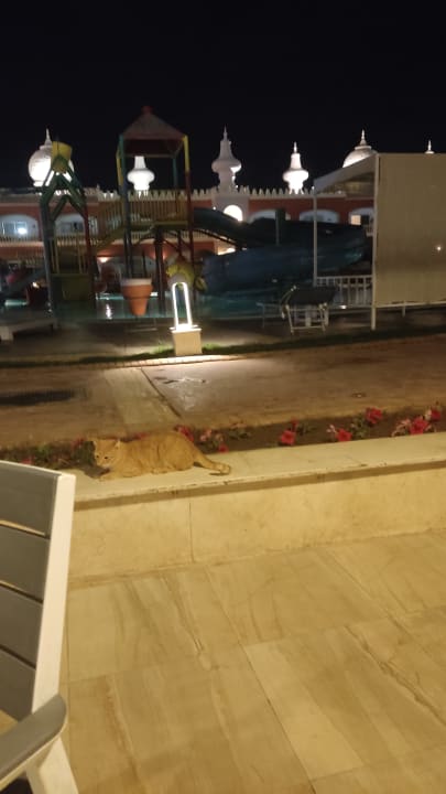 Sonstiges Pickalbatros Alf Leila Wa Leila Resort - Neverland Hurghada