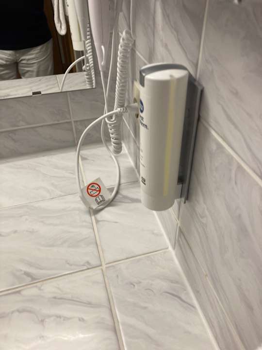 Zimmer Best Western Parkhotel Brehna - Halle