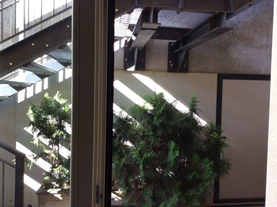 Ausblick ausdenken Zimmer Hotel Britannia Excelsior