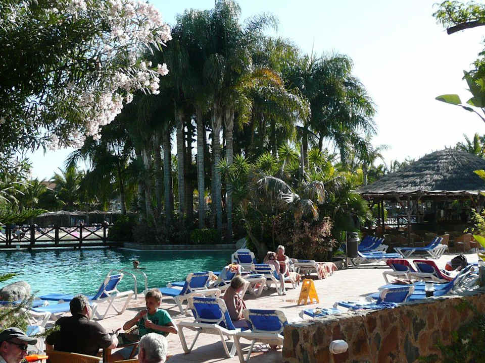 Pool Tabaiba Princess