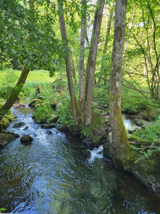 Gartenanlage Landhotel Neuhof