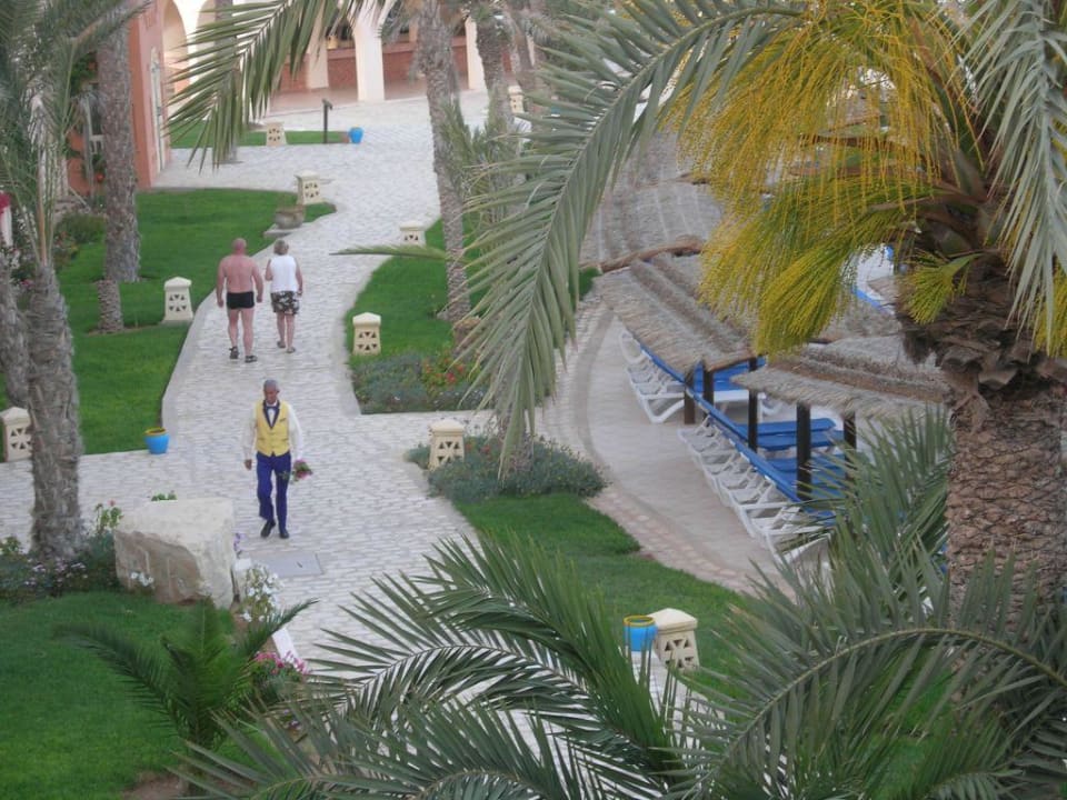 toll gepflegte Anlage Vincci Safira Palms