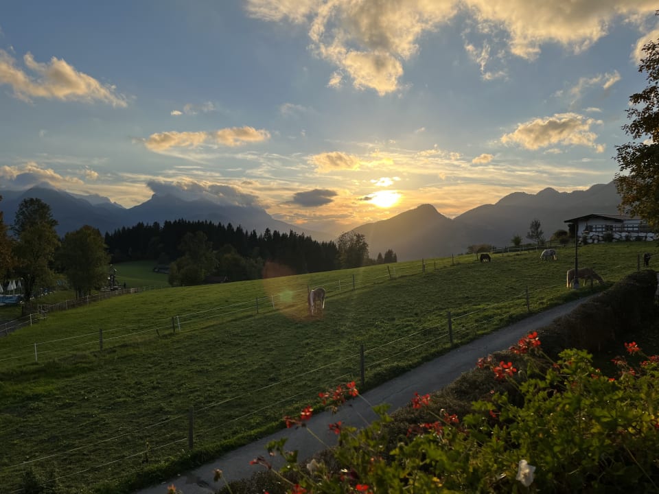 Gartenanlage Wohlfühlresort Peternhof