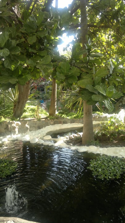 Wasserfall und Goldfische Hotel Parque Tropical