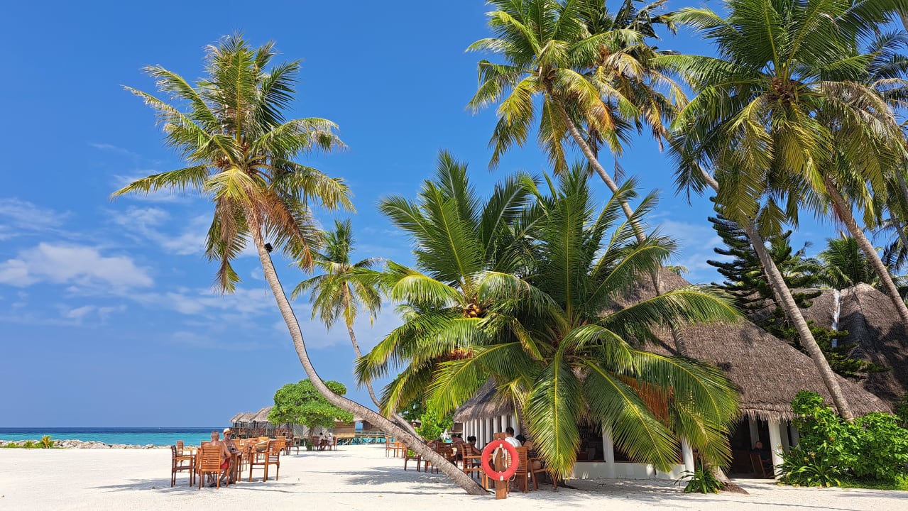 Gastro Fihalhohi Maldives