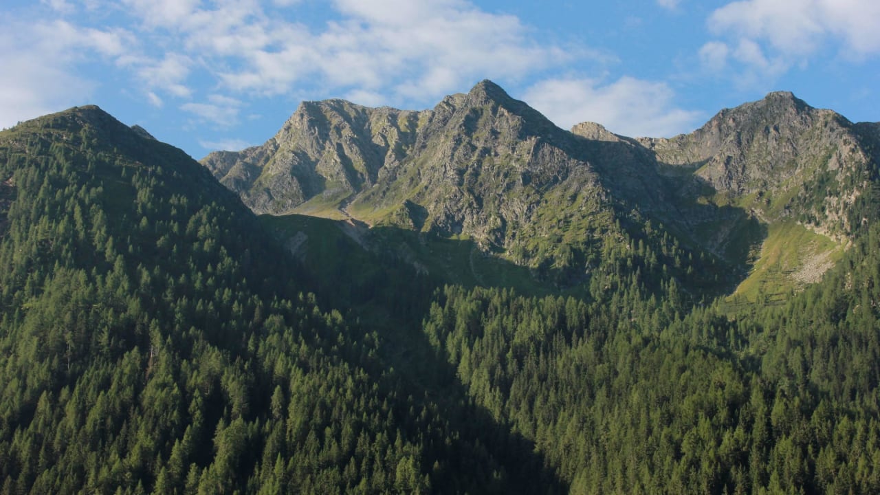 Ausblick vom Hotel Genießer- & Wanderhotel Jägerhof