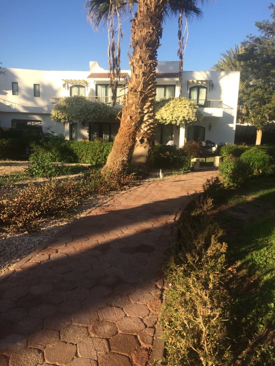 Gartenanlage Lotus Bay Beach Resort