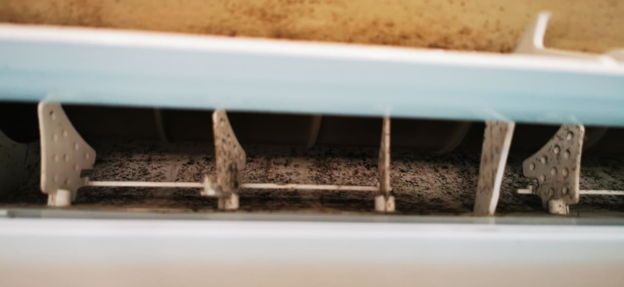 Zimmer Venus Star Resort - FKK Nudist Swingers - Only Couples