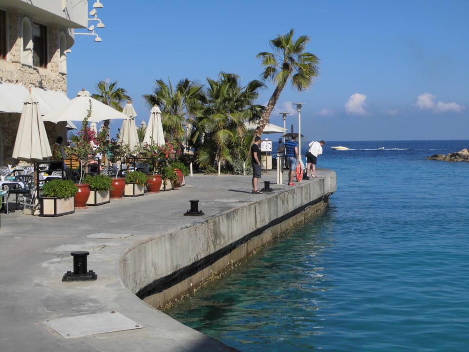 Cafe Mozart  Pickalbatros Citadel Resort