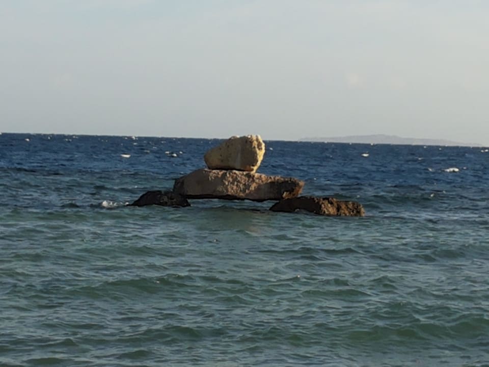 Meerblick Pickalbatros Citadel Resort