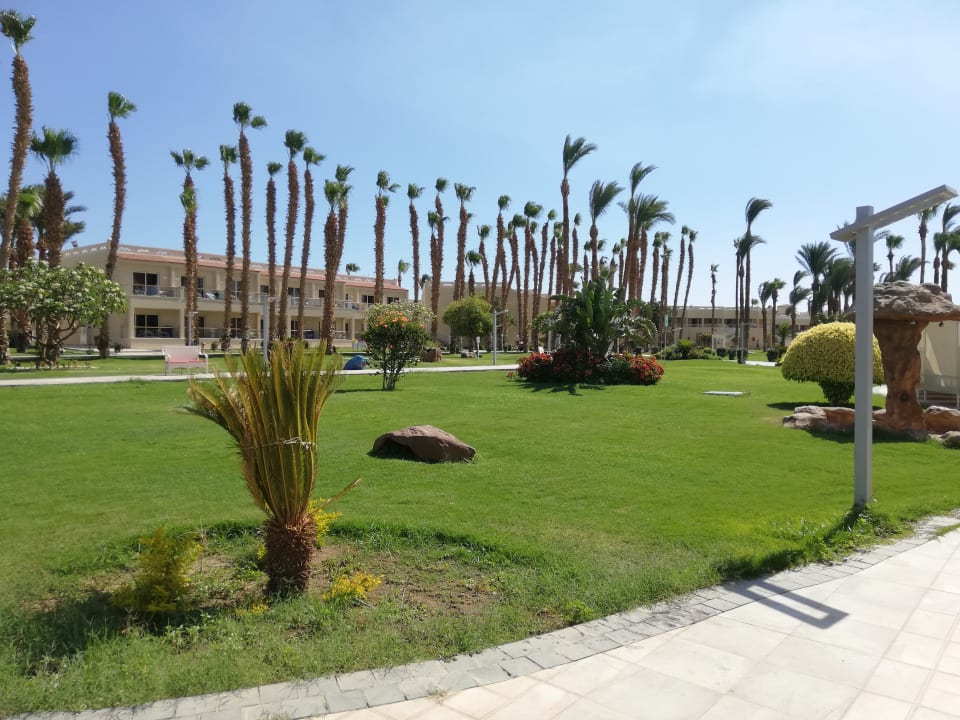 Gartenanlage Beach Albatros Resort