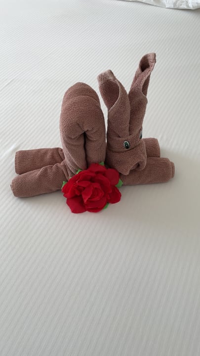 Zimmer Hotel Riu Playacar