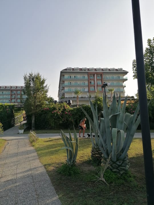 Außenansicht Adalya Ocean Deluxe